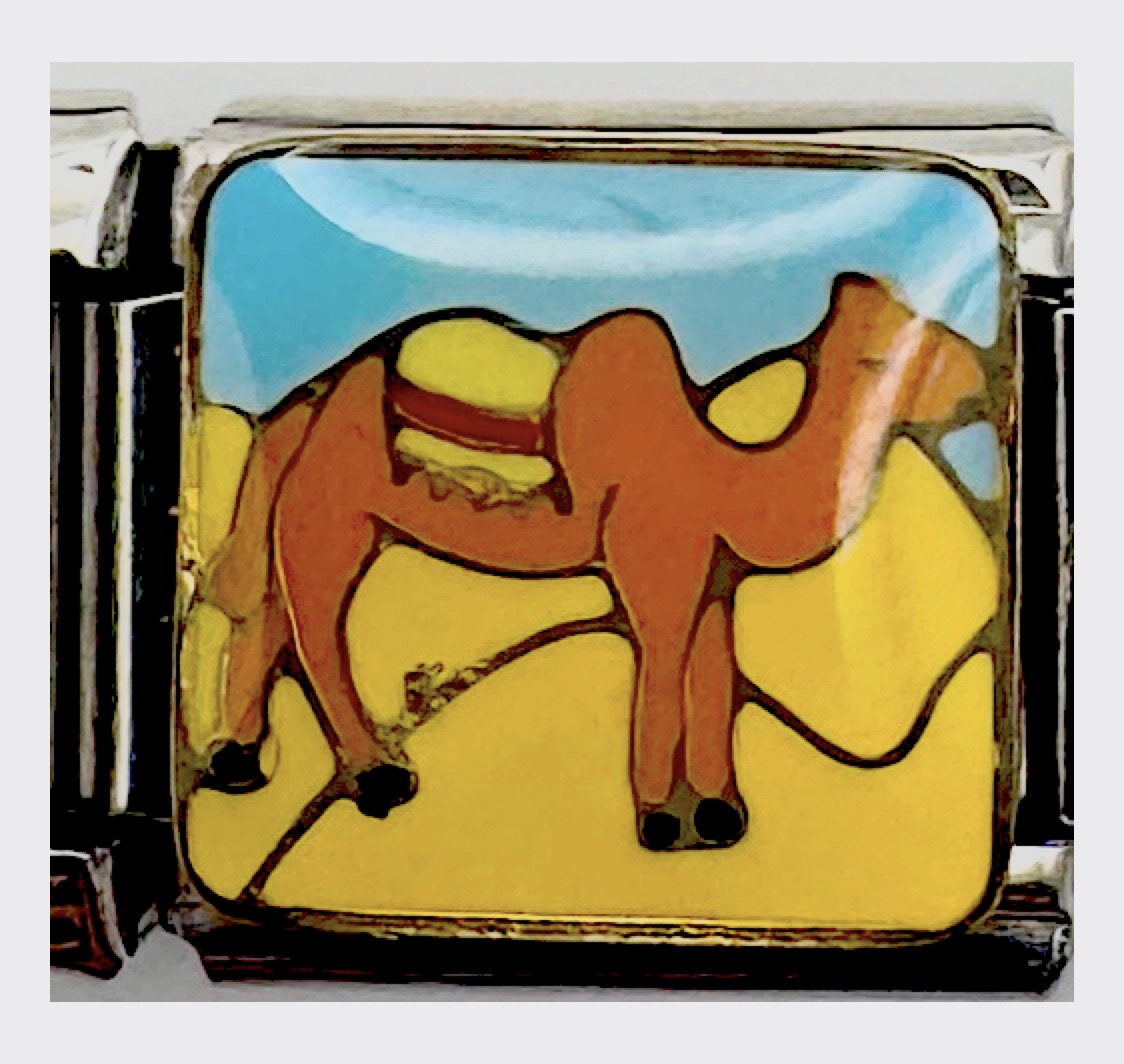 Camel Italian Charm