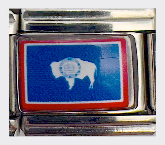 Wyoming state flag Italian charm