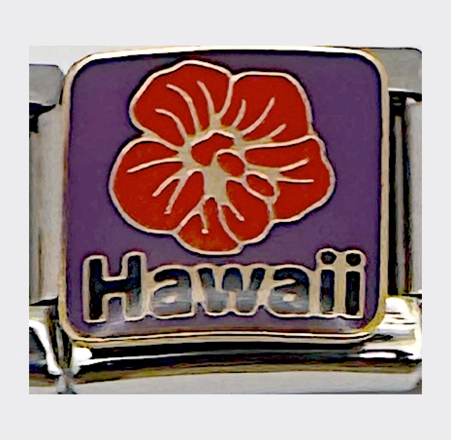 Hawaii Islands Italian charm link