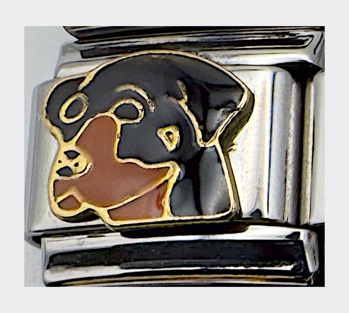 Rottweiler Italian Charm