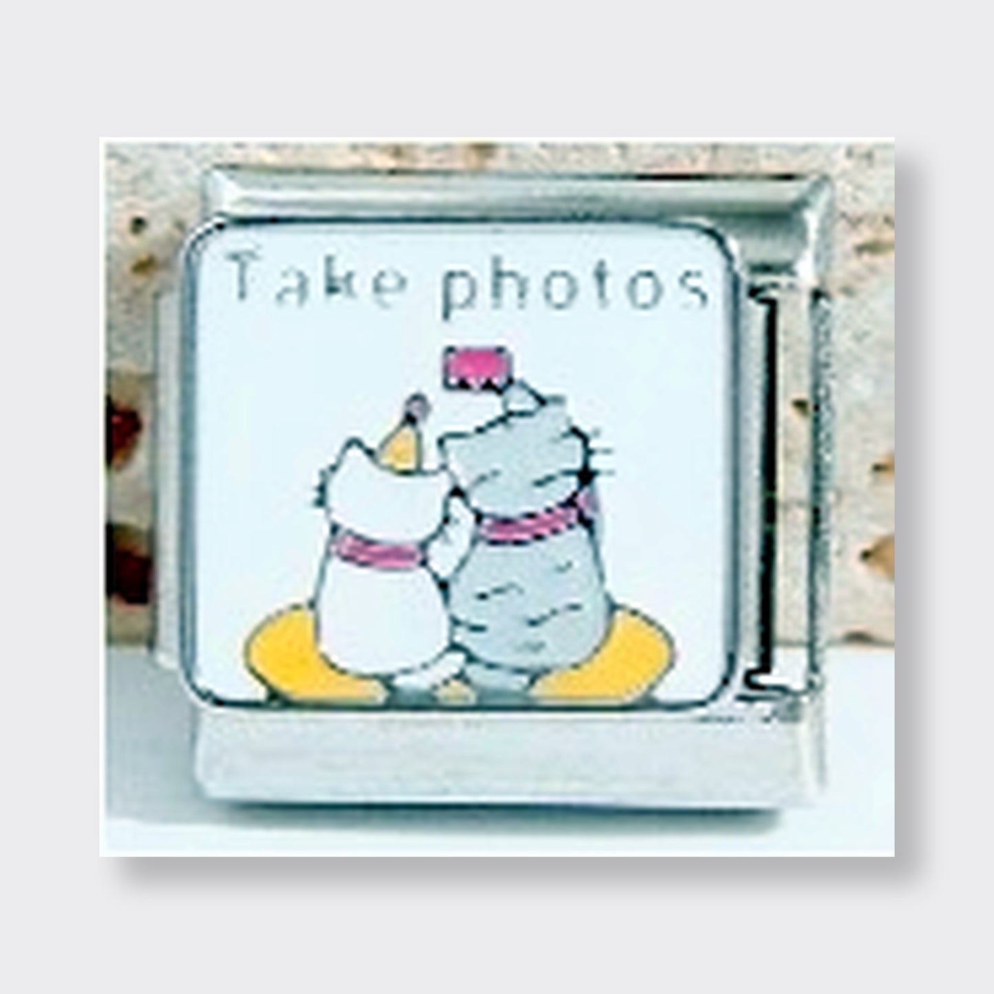 Take Photos Italian charm link