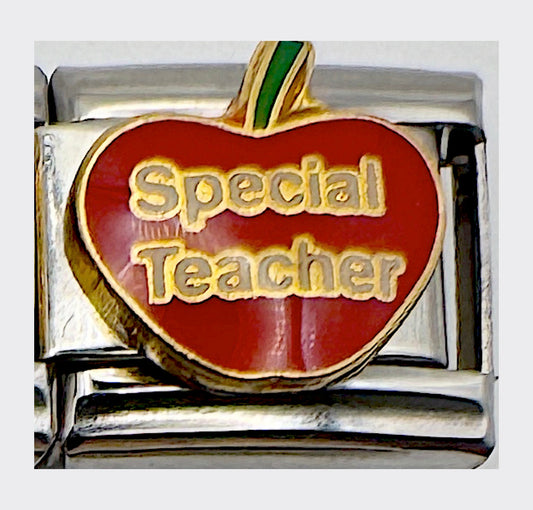 Vintage DLinq Special Teacher Italian Charm